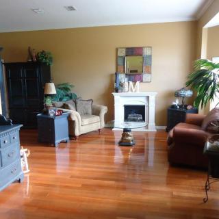 A cozy living room with wooden floors, featuring sofas, an armchair, a fireplace, and indoor plants.