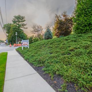 A sidewalk bordered by well-maintained shrubs and trees under a cloudy sky.