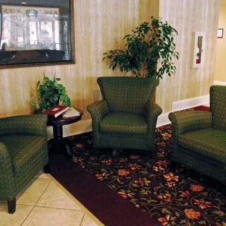 A cozy lobby area with green armchairs, a side table holding a red telephone, and decorative plants.