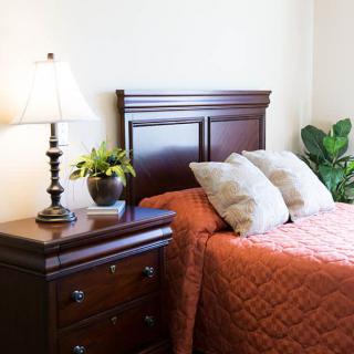 A cozy bedroom with a wooden nightstand, lamp, and potted plants.