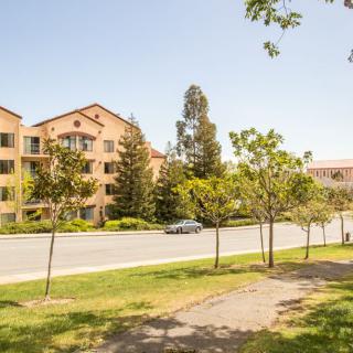 A sunny day in a residential area with apartment buildings, trees, and a road.