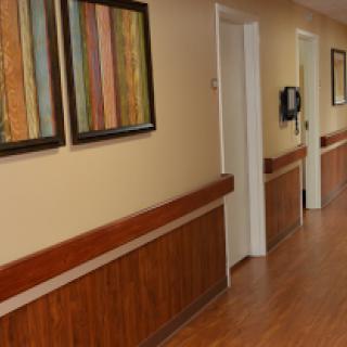 A well-lit hallway featuring decorative artwork and wooden paneling.