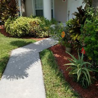 A well-maintained garden with a concrete sidewalk and lush foliage.