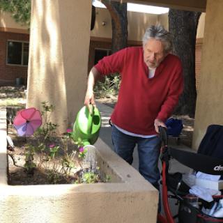 A senior individual tending to a garden by watering the plants.