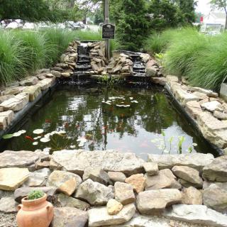 A tranquil garden pond with surrounding rocks and greenery.
