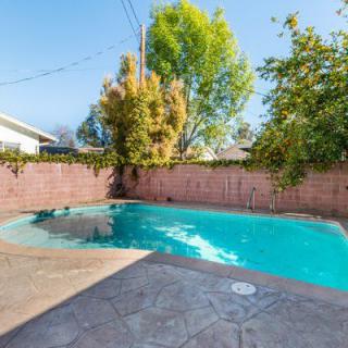 A backyard swimming pool surrounded by a brick wall and trees under a clear blue sky.