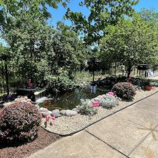 A serene garden with a pond surrounded by vibrant flowers and lush greenery.