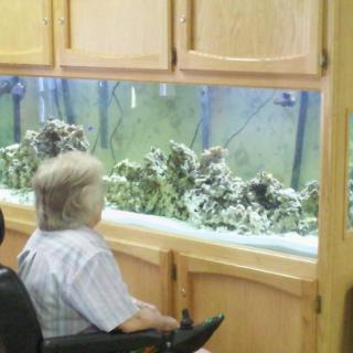 An elderly person in a wheelchair observing an aquarium.