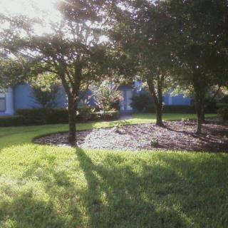 Sunlit garden with trees casting long shadows on the grass.