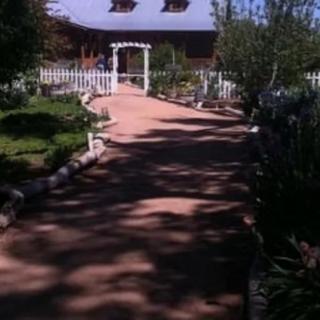 A peaceful garden pathway leading to a white arch and fenced area.