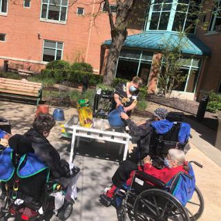 A caregiver engages with elderly residents in wheelchairs during an outdoor activity session.