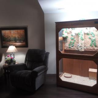 A cozy living room featuring a comfortable armchair and a decorative reptile enclosure.