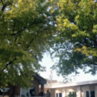A suburban house surrounded by green trees on a sunny day.