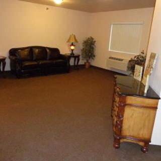 A sparsely furnished living room with a sofa, lamp, and decorative plants.
