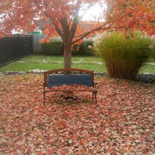 A serene autumn scene featuring a bench surrounded by fallen leaves and a vibrant tree.