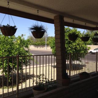 A sunny day view of a porch with hanging plants and trees beyond a fence.