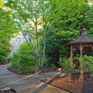 A serene garden setting with a wooden gazebo and winding pathway surrounded by lush greenery.