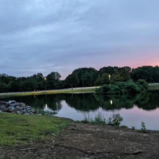 A serene view of a lake surrounded by trees during twilight.