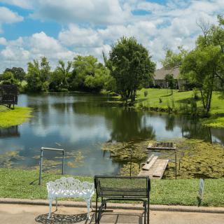 A tranquil lakeside view with benches and lush greenery under a partly cloudy sky.