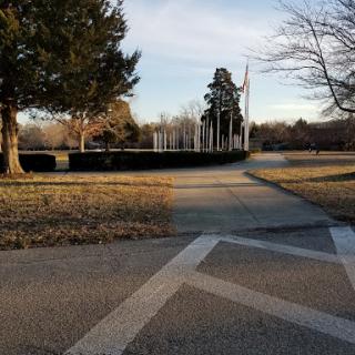 A serene park pathway surrounded by trees, inviting a peaceful stroll.