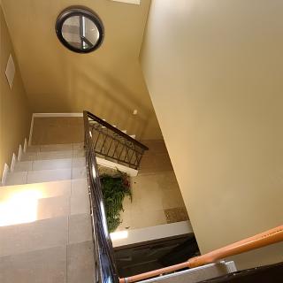 A well-lit staircase with a railing and plants in a house interior.