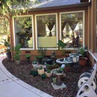 A cozy garden corner with various potted plants and succulents in front of a house's patio windows.