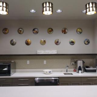 A modern kitchen featuring decorative wall plates, sleek countertops, and contemporary lighting.