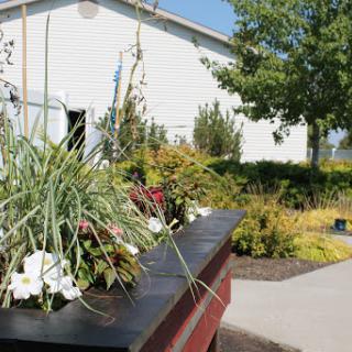 A beautiful garden scene featuring vibrant flowers and lush greenery near a building.