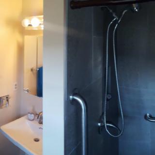 A modern bathroom featuring a shower with a handheld spray and a sleek sink area.