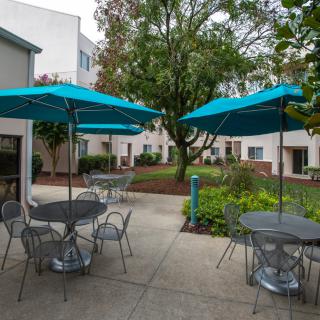 An outdoor courtyard with tables and chairs shaded by blue umbrellas.