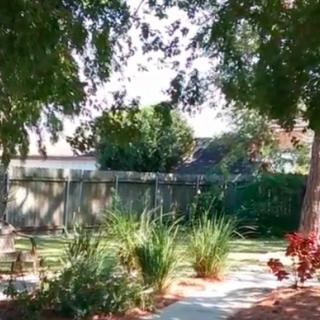 A sunny garden with a pathway surrounded by trees and plants.