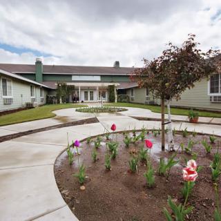 A well-maintained garden with colorful flowers in front of a modern building on a cloudy day.