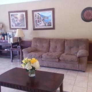 A cozy living room with a brown sofa, a coffee table featuring flowers, and decorative artwork on the walls.