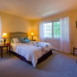 A cozy, well-lit bedroom with a comfortable bed and elegant decor.