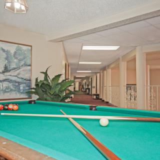 An indoor recreation space featuring a pool table and a hallway with plants and artwork.