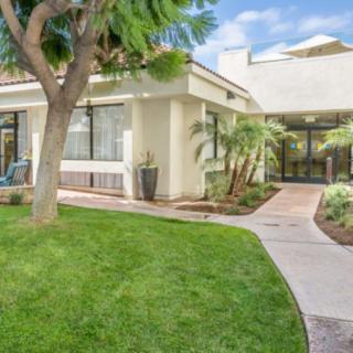A modern house with a landscaped garden and a curved walkway.