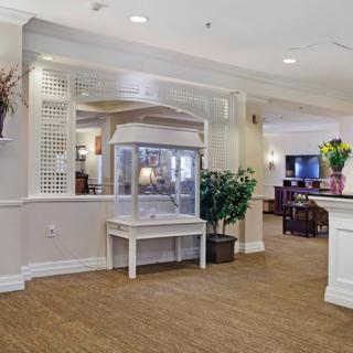 A hotel lobby with a popcorn machine, seating area, and reception desk surrounded by plants and flowers.