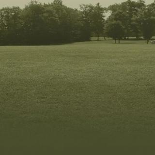 A serene park landscape with expansive grassy fields and trees in the background.