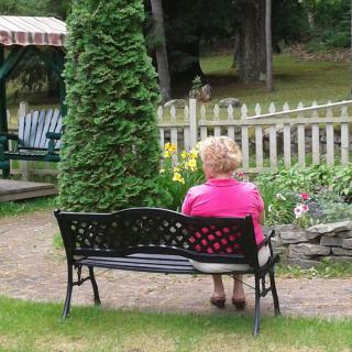 A person sits on a bench in a garden, enjoying the peaceful surroundings.