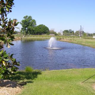 A serene pond with a fountain surrounded by lush greenery.