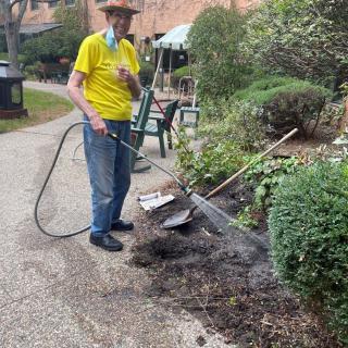 Person watering plants in a garden setting, wearing a yellow shirt and hat.