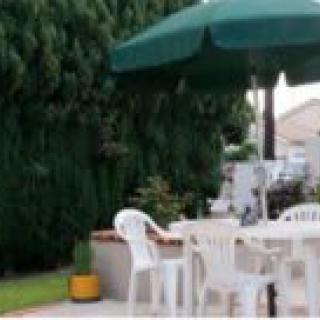 A cozy outdoor patio setup with white plastic chairs and a table under a green umbrella, surrounded by greenery.