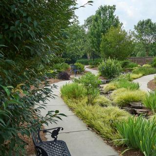 A scenic park pathway lined with lush greenery and benches.