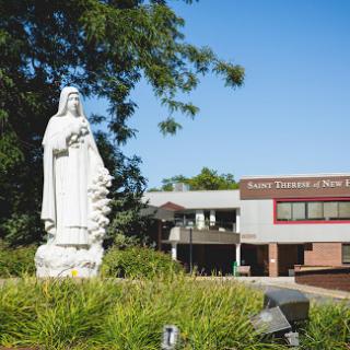 A serene view of a statue in front of a modern building, surrounded by lush greenery.