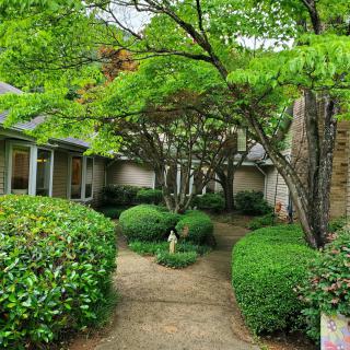 A serene courtyard with lush greenery and a winding pathway.