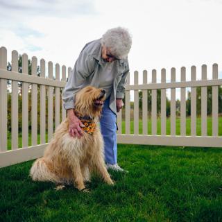 An elderly person affectionately petting a dog in a fenced yard.