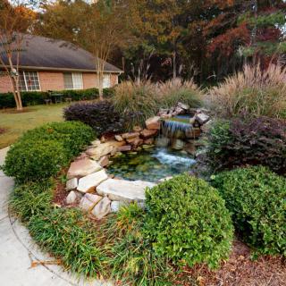 A serene garden with a small pond and waterfall surrounded by lush greenery.
