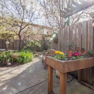 A sunny backyard garden with blooming flowers and lush greenery.