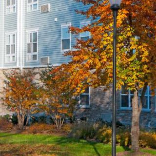 A residential building surrounded by trees with vibrant autumn leaves.