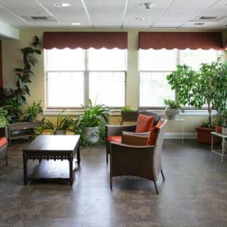 A well-lit waiting room with comfortable seating and greenery.